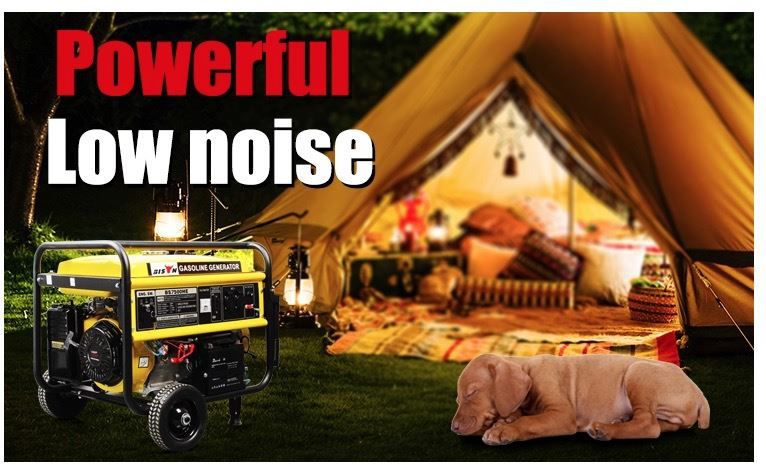 portable gasoline