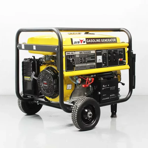 5000 watt portable power generator rv11441685741