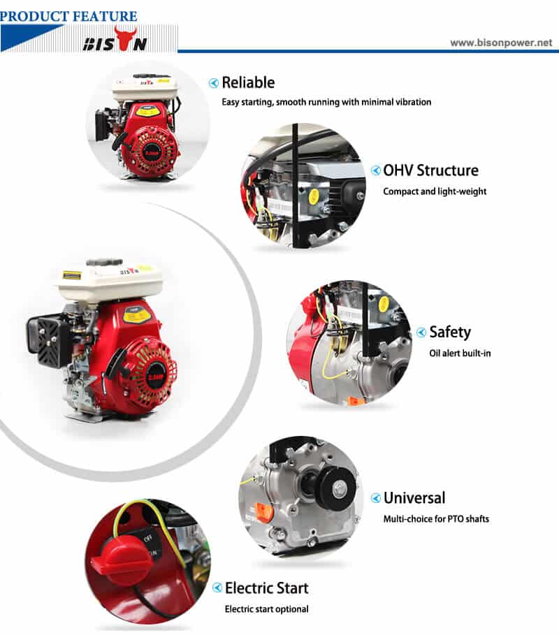 gasoline combustion engine details