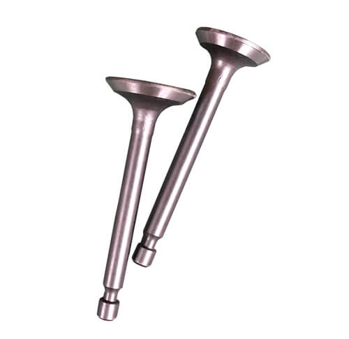 engine intake and exhaust valves