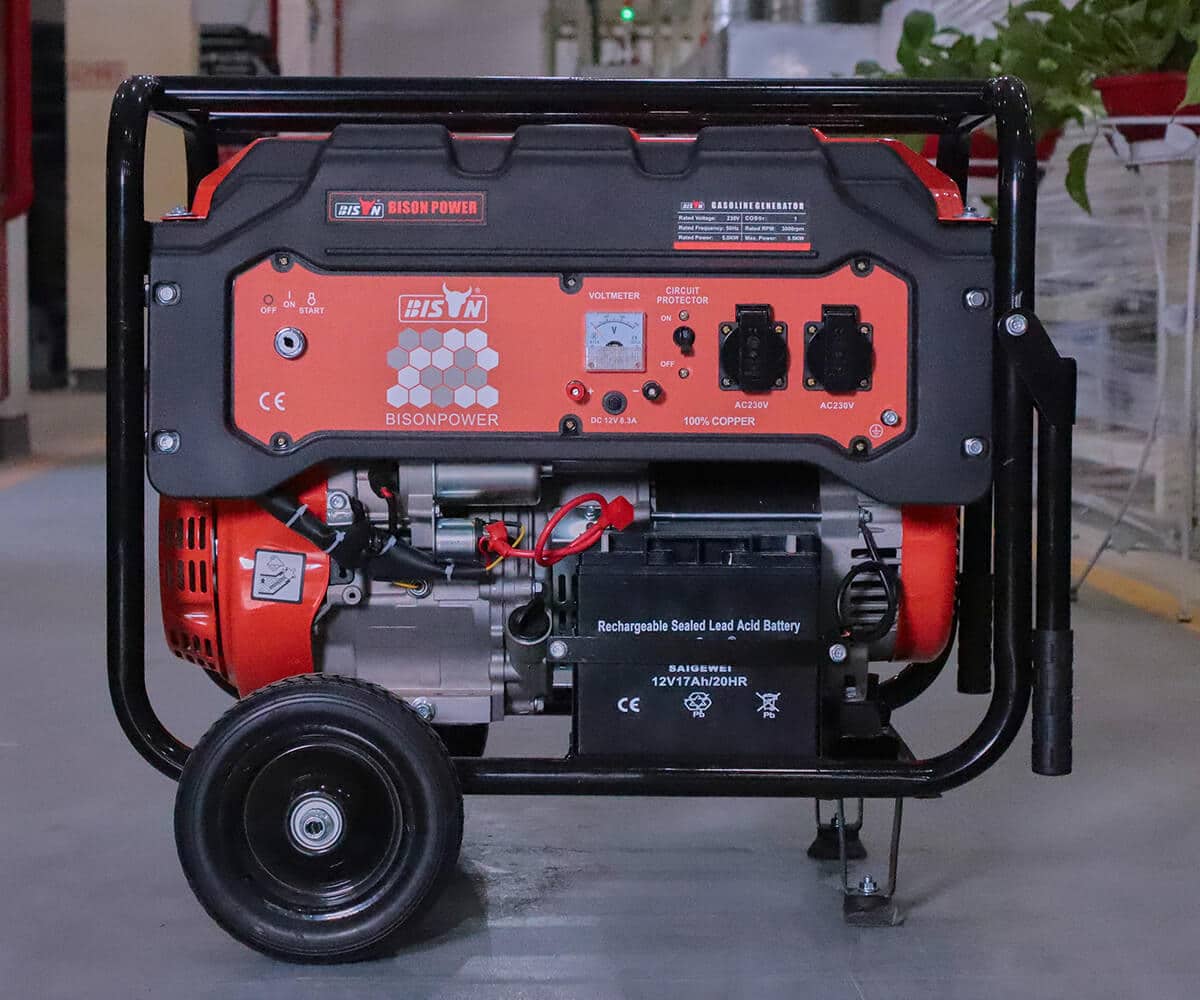 homage 5kva generator with gas kit