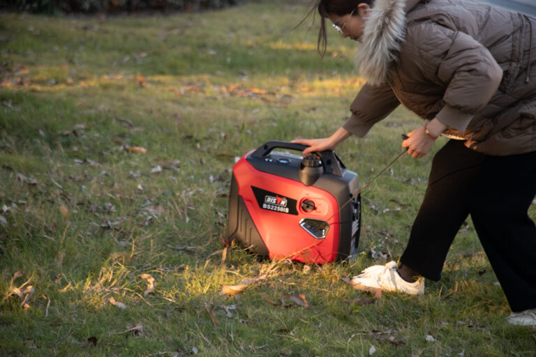 bison inverter generator