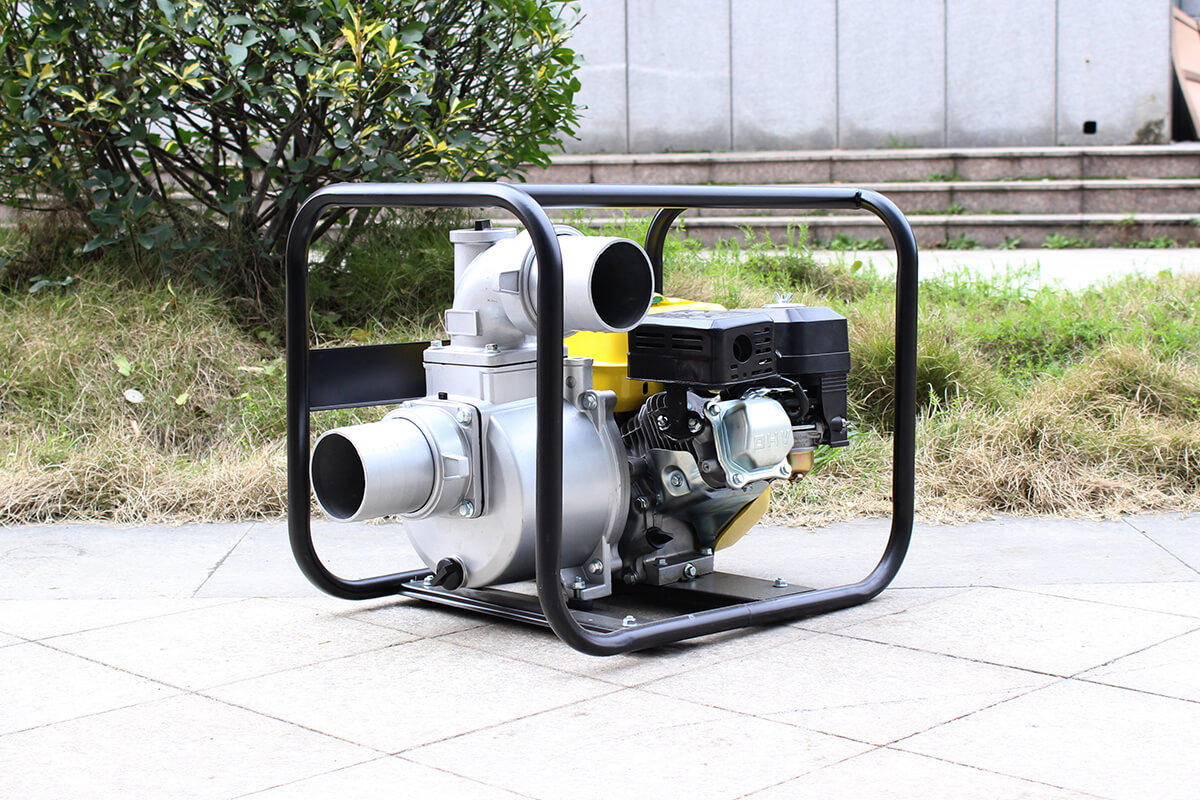 pompa dell'acqua del bisonte