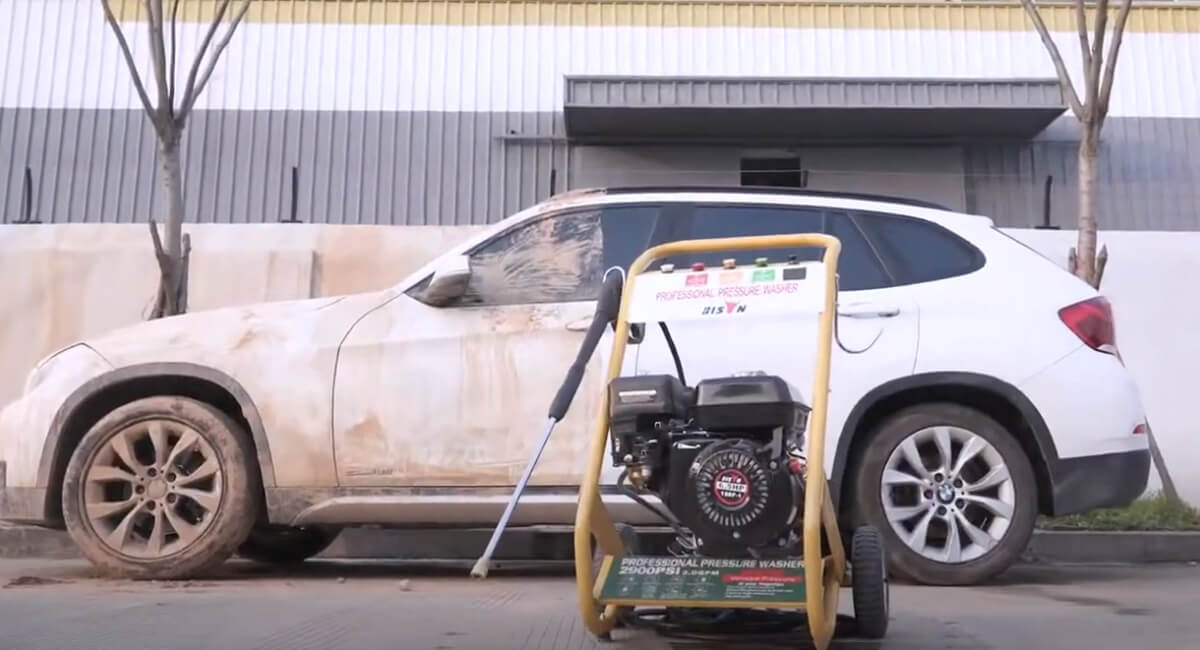 idropulitrice per bisonti